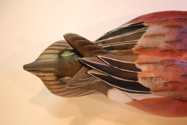 Wigeon Drake (Item # WG-002-2025) - Image 2